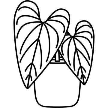 black and white potted plant outline clip art preview