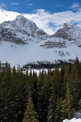 close up of snow covered mountains beyond tree line