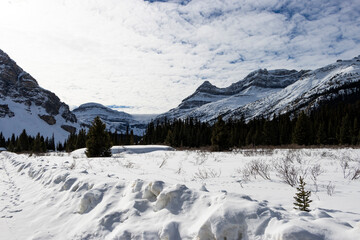 mountains with trees and cloud covered sky