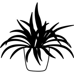 Spider Plant Icon