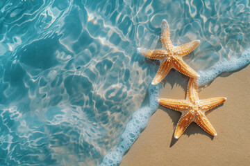 Fototapeta na wymiar Top view starfish on the sand beach background, Summer holiday vacation concept