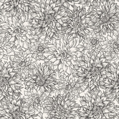Floral seamless pattern with dahlia flowers. Graphic natural background. - 743273767