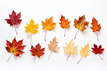 Naklejka na ściany i meble Autumn leaves on white background. Flat lay, top view.