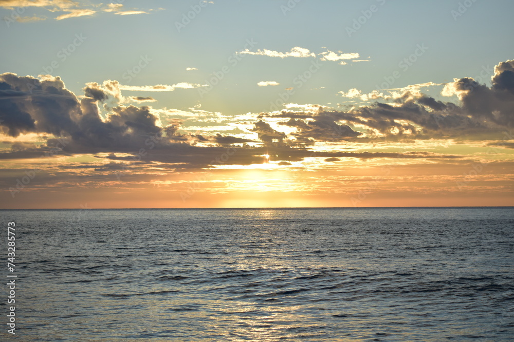 Wall mural pelicans over the waves off the coast in the sunrise in los cabos, mexico