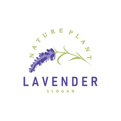 Lavender Logo Elegant Purple Flower Plant Illustration Floral Ornament Design