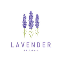 Lavender Logo Elegant Purple Flower Plant Illustration Floral Ornament Design