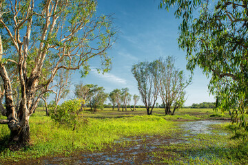 In the Northern Territory, Australia, a birdwatching haven awaits, accessed by boardwalks, offering...