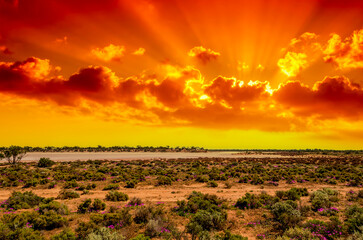 Red Desert - Western Australia just Out of Kalgoorlie