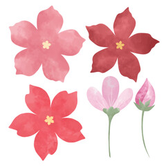 Obraz na płótnie Canvas hand drawn watercolor flower floral element pack