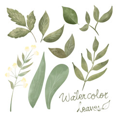 hand drawn watercolor leaves floral element pack