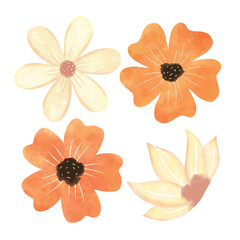 hand drawn watercolor flower floral element pack