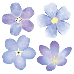 hand drawn watercolor flower floral element pack
