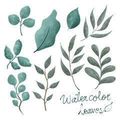 hand drawn watercolor leaves floral element pack