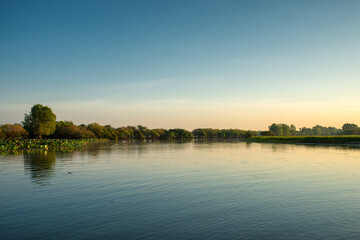 A tranquil billabong in Outback Australia, yet lurking within may hide saltwater crocodiles, blending danger with serenity.