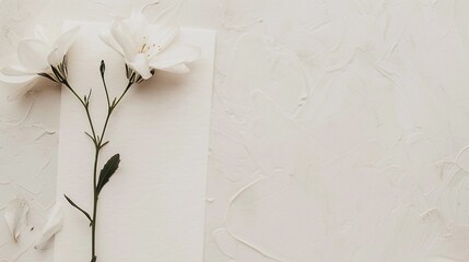 Minimalist Wedding Invitation, A minimalist wedding invitation features elegant calligraphy in black against a crisp white background, background image, generative AI