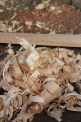 wood shavings on the ground
