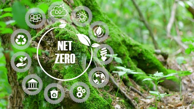 Net zero and carbon neutral concept. net zero greenhouse gas emissions target Climate neutral long term strategy 2050 on a green background with growth chart infographic and Net zero icons.