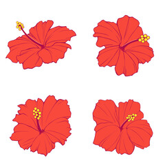鮮やかな赤色のハイビスカスのイラストセット