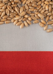 Wheat grains on the yellow and blue flag of Poland, Poland grain crisis, global hunger crisis concept