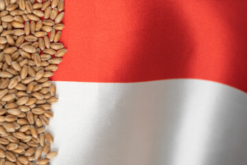 Wheat grains on the yellow and blue flag of Poland, Poland grain crisis, global hunger crisis...