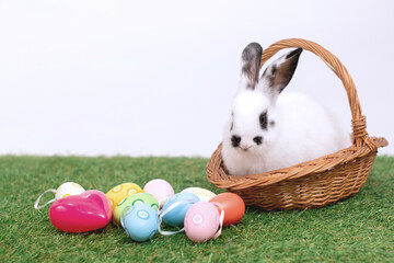 Baby rabbit in the basket and colorful Easter eggs on the grass nearby, white background