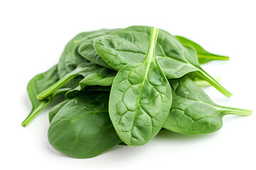 spinach isolated on white