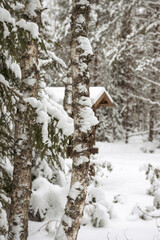 snow covered tree