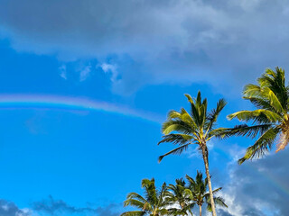Rainbow in blue sky with storm clouds and palm trees - 743361747