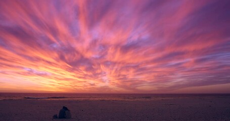 Sunset, sky and couple on beach with ocean, view and people on vacation for anniversary or honeymoon for love and marriage. Life partner, silhouette and light, bird and commitment with hug in nature