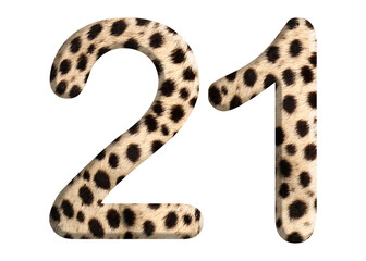 The shape of the number 21 is made of cheetah fur or skin isolated on transparent background. Suitable for birthday, anniversary and Memorial Day templates © rozi