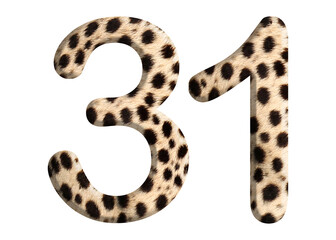 The shape of the number 31 is made of cheetah fur or skin isolated on transparent background. Suitable for birthday, anniversary and Memorial Day templates