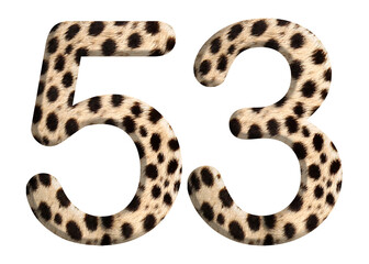 The shape of the number 53 is made of cheetah fur or skin isolated on transparent background. Suitable for birthday, anniversary and Memorial Day templates