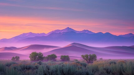 Capture the serene beauty of a desert sunrise, where the early light paints the dunes in vibrant hues