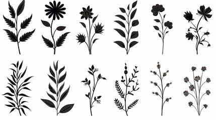 This elegant collection of hand-drawn botanical elements includes various types of leaves, flowers and plants in detailed - obrazy, fototapety, plakaty