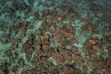 High angle view of corals and coral reef in turquoise water at low tide at the coast of Weh island, Sumatra, Indonesia.