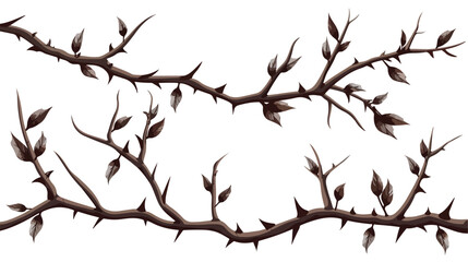 Vintage branch thorns leaves decoration rustic ve - obrazy, fototapety, plakaty