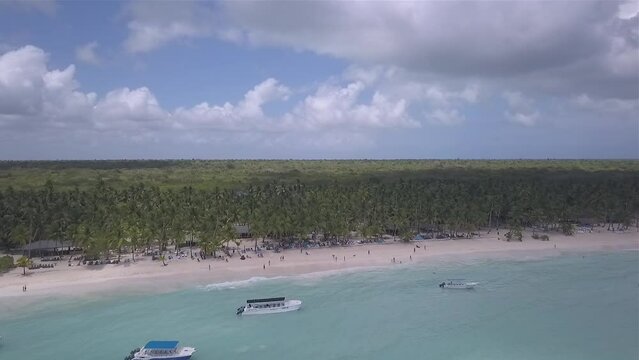 caribbean beach with palms tree in the paradise dominican republic 
