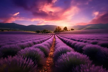 Washable wall murals pruning Lavender field landscape