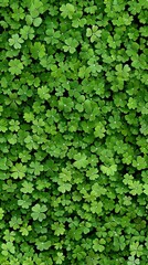 Obraz premium St Patrick's Day most attractive fluorescent color satria wallpaper