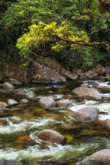 Embark on a scenic bushwalk along Mossman River at Mossman Gorge, QLD. Discover lush rainforest, crystal waters, and serene beauty.
