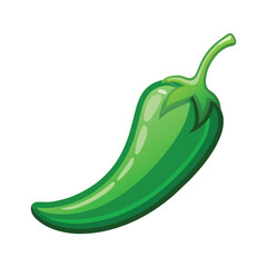 Vector of illustration fresh green chili pepper on white
