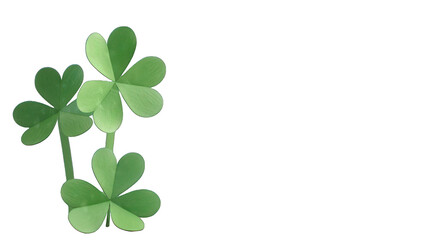 Lucky clover and shamrock isolated on transparent background