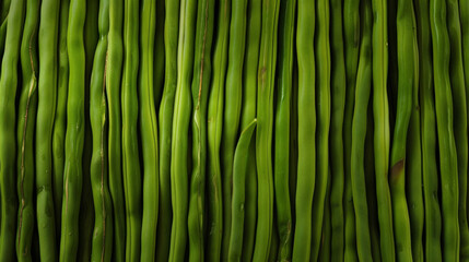 A row of slender green beans freshly picked and lined up in a neat pile showcasing their crispness and vibrant color. - obrazy, fototapety, plakaty