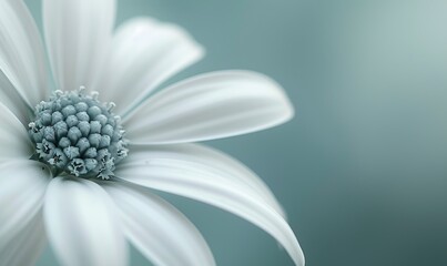 Wallpaper of minimalist macro of a part of a flower with background, fine art. - obrazy, fototapety, plakaty