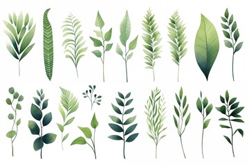 Set of various watercolor hand-painted leaves and plants isolated on a white background.
