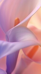 Macro Majesty: Capture the majestic allure of Calla lilies up close in a captivating macro portrait.