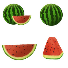Fresh watermelon illustration