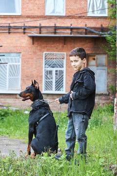 The child is a boy on the street with his pet. Doberman dog on a leash. Stylish image