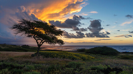 Fototapeta na wymiar South Point at sunset, Big Island, Hawaii, USA.