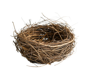 Nesting Bird's Cozy Home on Transparent Background, PNG